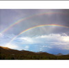 Thumbnail of 03_Roach-_Double_Rainbow.jpg