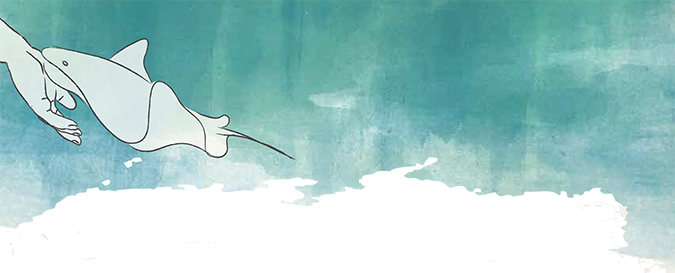 Stingray Illustration
