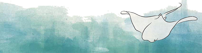Stingray illustration