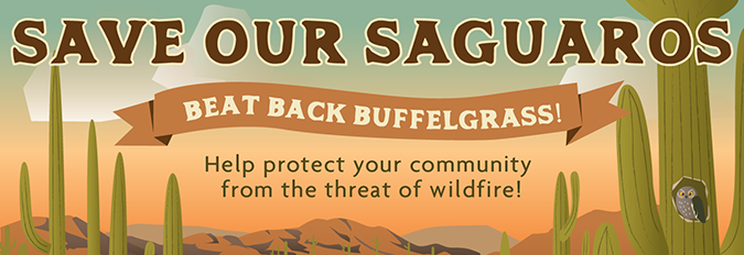 Save our Saguaros - Beat Back Buffelgrass! Help protect your community from the threat of wildfire. January 26th - March 3rd, 2019