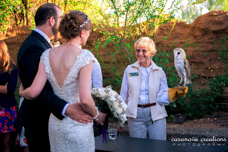 Edwards-Laetsch_Barn_owl_DExp_Casanova_Creations.jpg