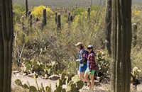 College students on grounds