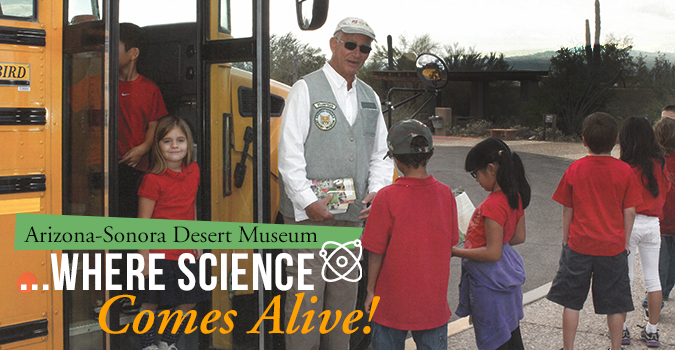 Children with docent by school bus