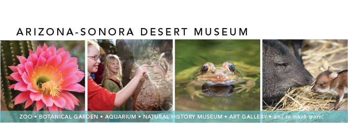 Become a part of the adventure for a year!