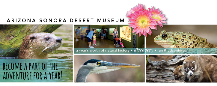 Become a part of the adventure for a year!