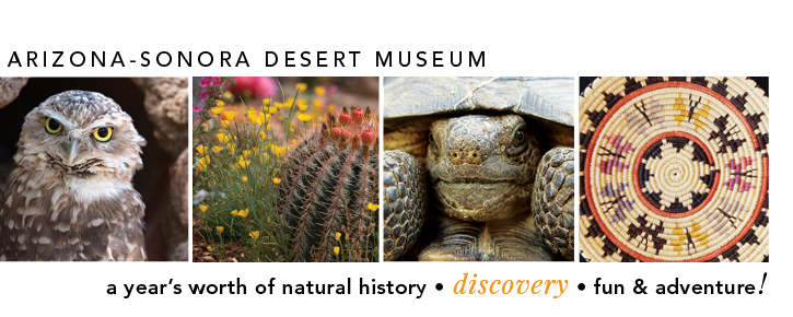 Become a part of the adventure for a year!