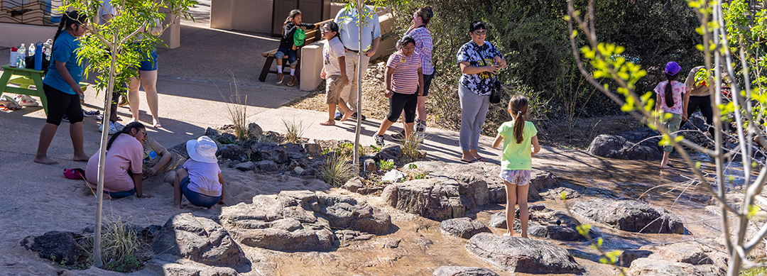 Children enjoy the Spadefoot Splash exhibit