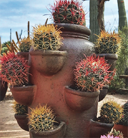 A strawberry pot with red and yellow barrels is a garden feature. Credit Jason Wiley