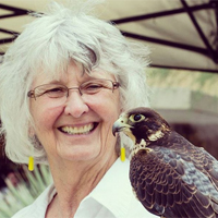 Photo of a Docent Program volunteer