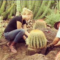 Photo of a Garden Volunteer, Botany volunteer